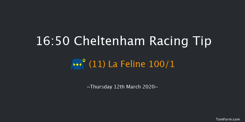 Daylesford Mares' Novices' Hurdle (Grade 2) (Registered As The Dawn Run) Cheltenham 16:50 Maiden Hurdle (Class 1) 17f Wed 11th Mar 2020