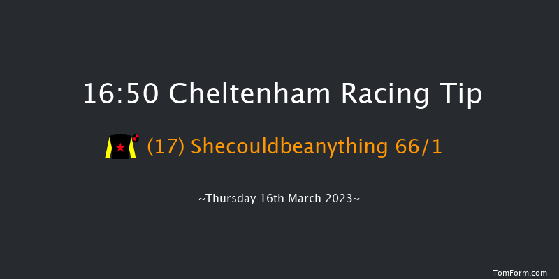 Cheltenham 16:50 Novices Hurdle (Class 1) 17f Wed 15th Mar 2023