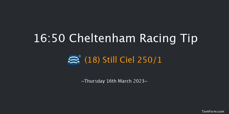 Cheltenham 16:50 Novices Hurdle (Class 1) 17f Wed 15th Mar 2023