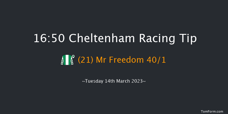 Cheltenham 16:50 Handicap Hurdle (Class 1) 16f Sat 28th Jan 2023