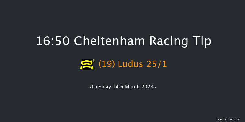 Cheltenham 16:50 Handicap Hurdle (Class 1) 16f Sat 28th Jan 2023