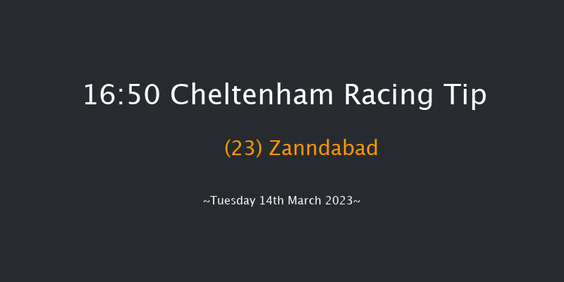Cheltenham 16:50 Handicap Hurdle (Class 1) 16f Sat 28th Jan 2023