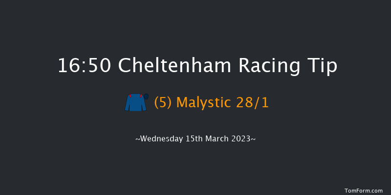 Cheltenham 16:50 Handicap Chase (Class 1) 16f Tue 14th Mar 2023