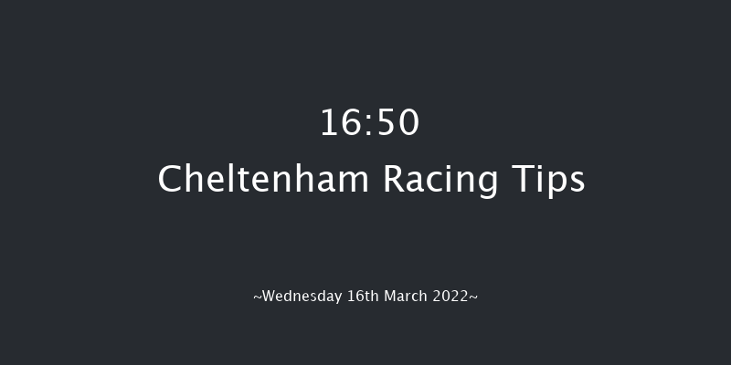 Cheltenham 16:50 Handicap Chase (Class 1) 16f Tue 15th Mar 2022