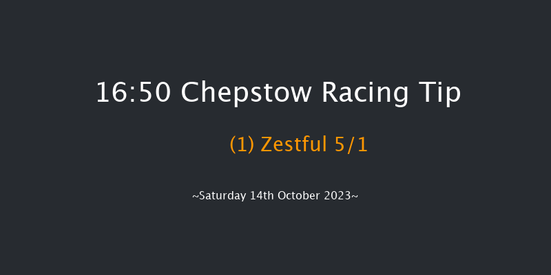 Chepstow 16:50 Handicap Hurdle (Class 2) 16f Fri 13th Oct 2023
