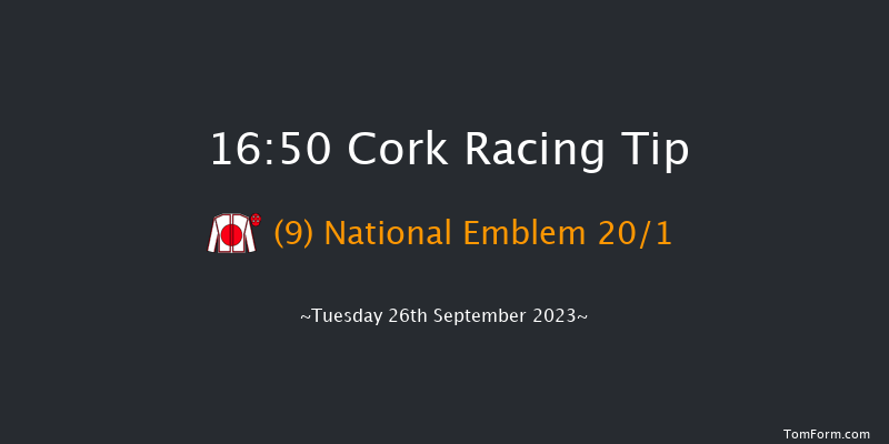 Cork 16:50 Handicap 8f Wed 6th Sep 2023