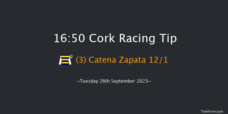 Cork 16:50 Handicap 8f Wed 6th Sep 2023