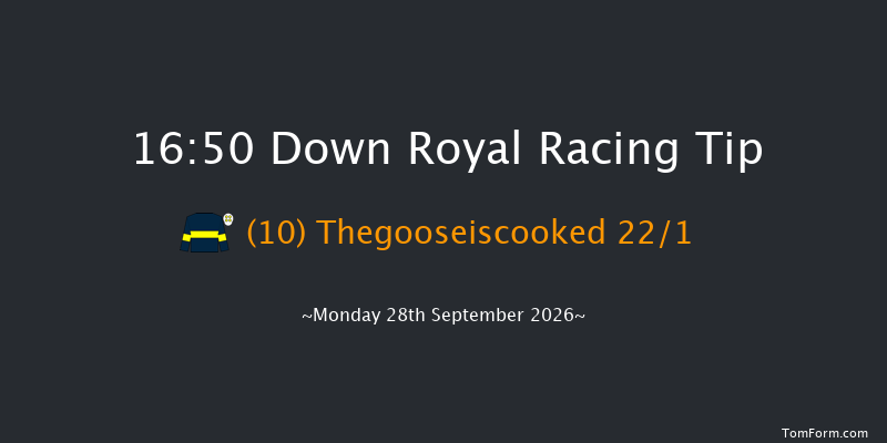 Down Royal 16-50 11f Fri 4th Sep 2026