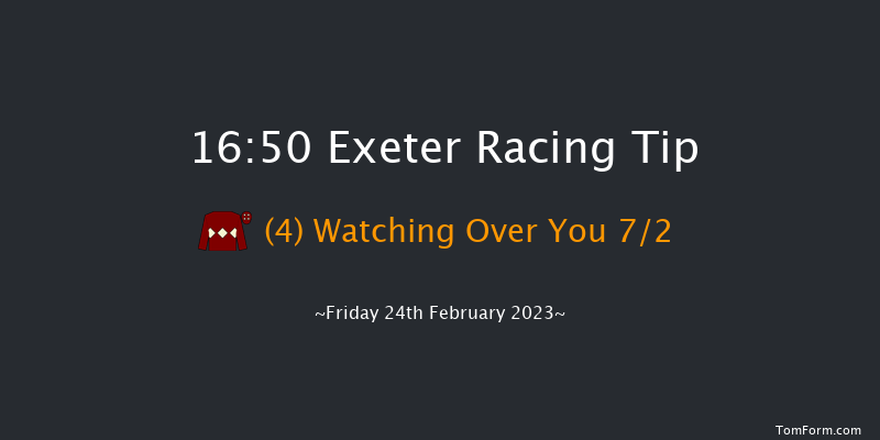 Exeter 16:50 NH Flat Race (Class 5) 17f Sun 12th Feb 2023