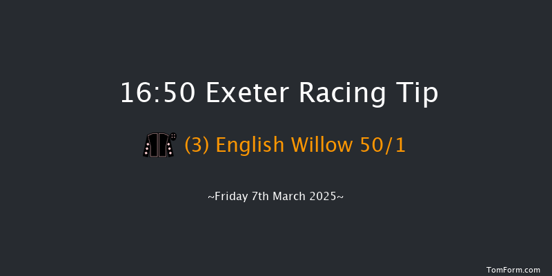Exeter  16:50 Handicap Hurdle (Class 5) 18f Fri 21st Feb 2025