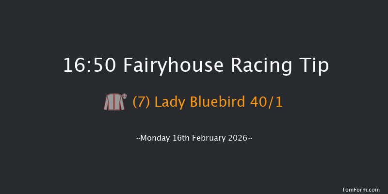 Fairyhouse 16-50 20f Tue 3rd Feb 2026