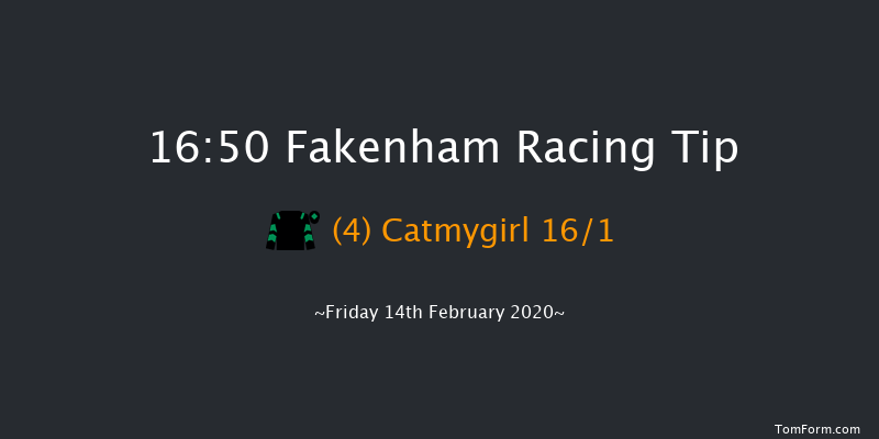 Fakenham Maiden Open NH Flat Race Fakenham 16:50 NH Flat Race (Class 5) 16f Thu 23rd Jan 2020