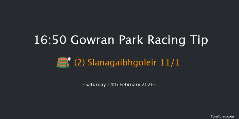 Gowran Park 16-50 19f Thu 22nd Jan 2026