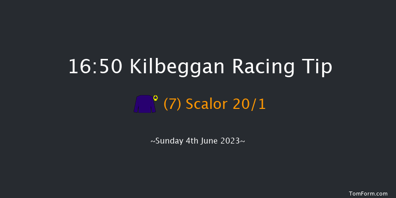 Kilbeggan 16:50 Handicap Chase 20f Fri 12th May 2023