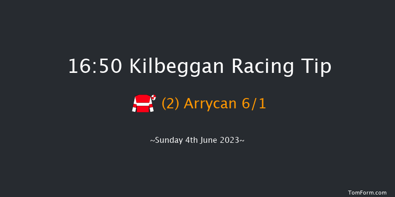 Kilbeggan 16:50 Handicap Chase 20f Fri 12th May 2023