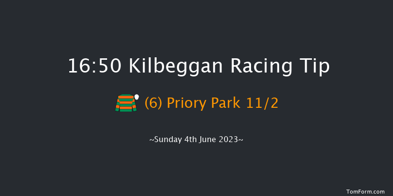 Kilbeggan 16:50 Handicap Chase 20f Fri 12th May 2023