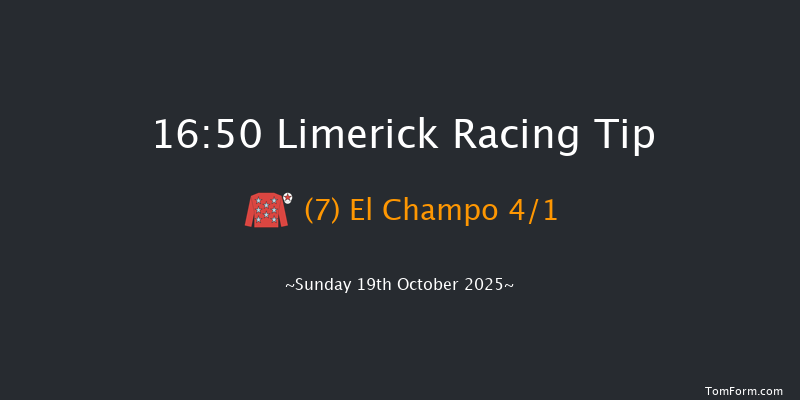 Limerick 16-50 19f Sat 18th Oct 2025