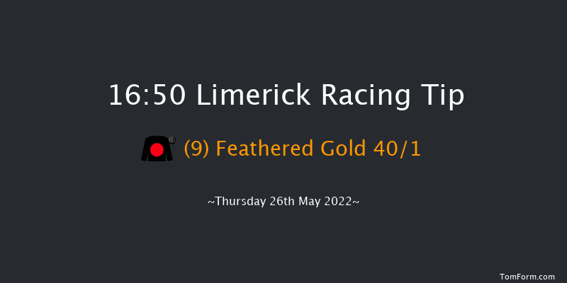 Limerick 16:50 Claiming Hurdle 19f Sat 23rd Apr 2022