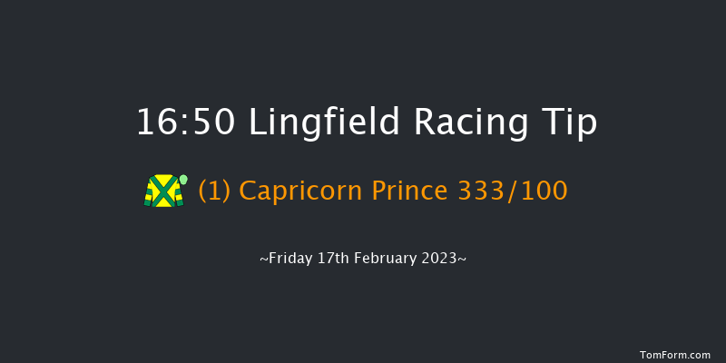 Lingfield 16:50 Handicap (Class 6) 12f Tue 14th Feb 2023