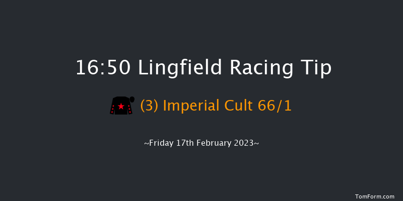 Lingfield 16:50 Handicap (Class 6) 12f Tue 14th Feb 2023