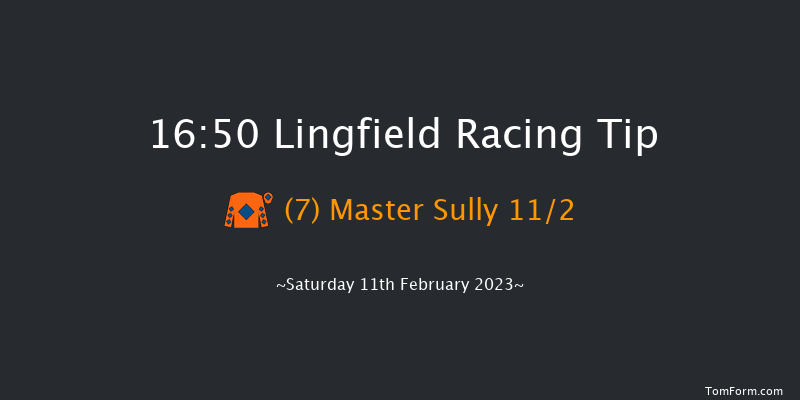 Lingfield 16:50 Handicap (Class 6) 6f Sat 4th Feb 2023
