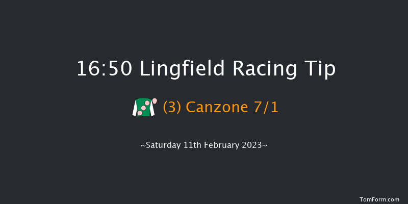 Lingfield 16:50 Handicap (Class 6) 6f Sat 4th Feb 2023