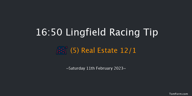 Lingfield 16:50 Handicap (Class 6) 6f Sat 4th Feb 2023
