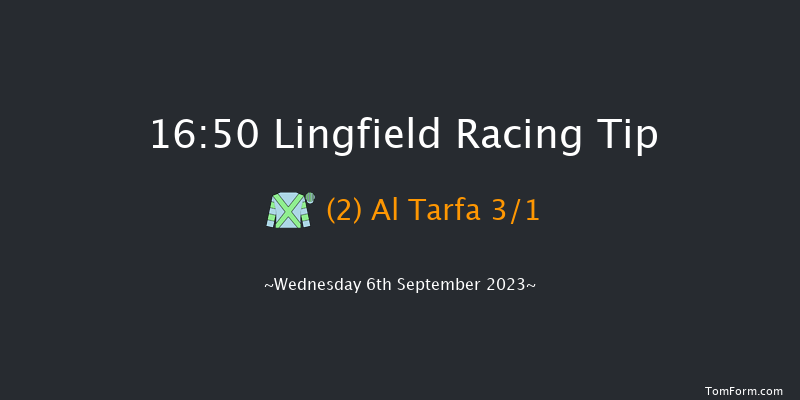 Lingfield 16:50 Handicap (Class 6) 8f Wed 30th Aug 2023