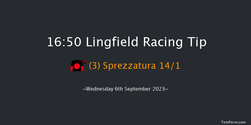 Lingfield 16:50 Handicap (Class 6) 8f Wed 30th Aug 2023