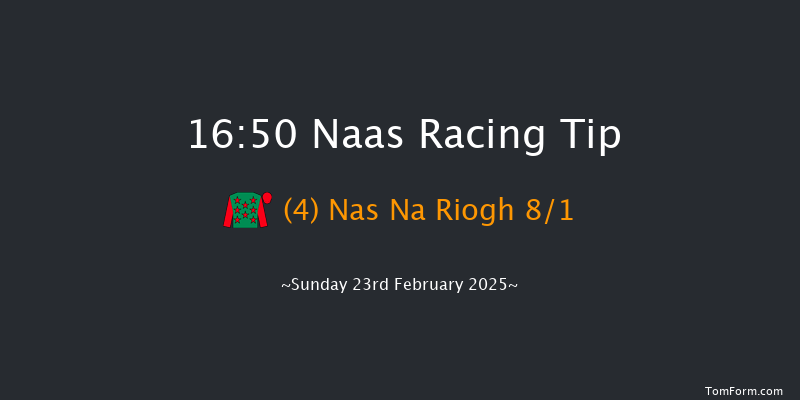 Naas  16:50 Handicap Chase 20f Sat 8th Feb 2025