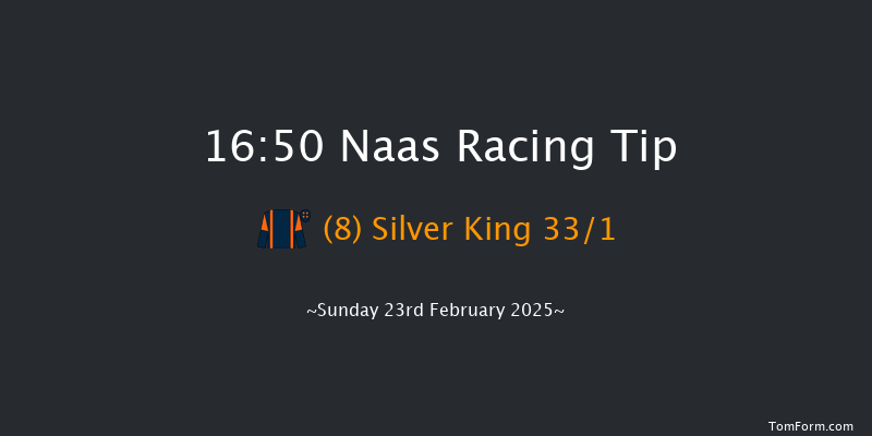 Naas  16:50 Handicap Chase 20f Sat 8th Feb 2025