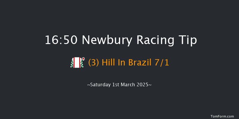 Newbury  16:50 NH Flat Race (Class 2) 16f Fri 28th Feb 2025