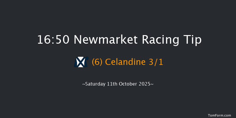 Newmarket 16-50 (Class 1) 6f Fri 10th Oct 2025