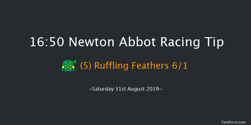 Newton Abbot 16:50 Handicap Chase (Class 4) 26f Tue 20th Aug 2019