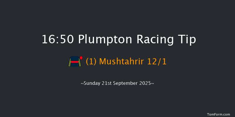 Plumpton 16-50 (Class 5) 17f Sun 11th May 2025
