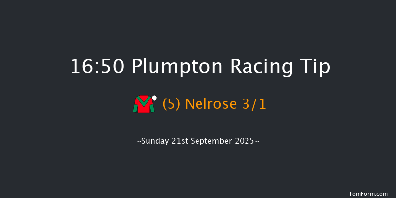 Plumpton 16-50 (Class 5) 17f Sun 11th May 2025