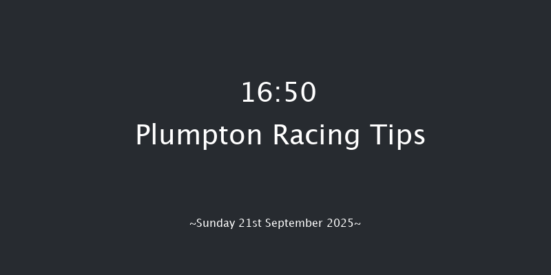 Plumpton 16-50 (Class 5) 17f Sun 11th May 2025