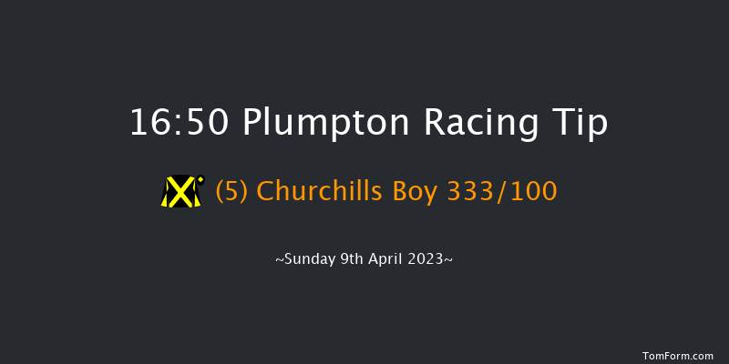 Plumpton 16:50 Handicap Hurdle (Class 3) 20f Tue 21st Mar 2023