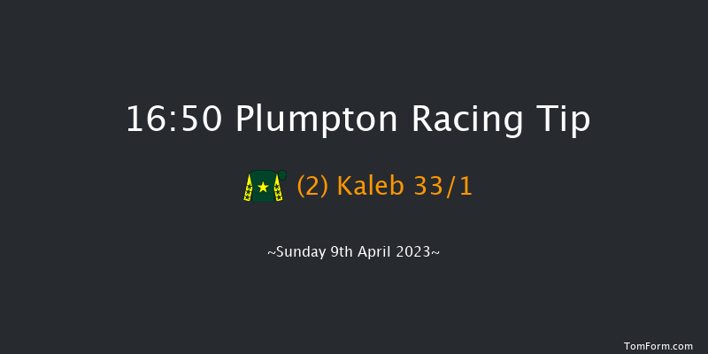 Plumpton 16:50 Handicap Hurdle (Class 3) 20f Tue 21st Mar 2023