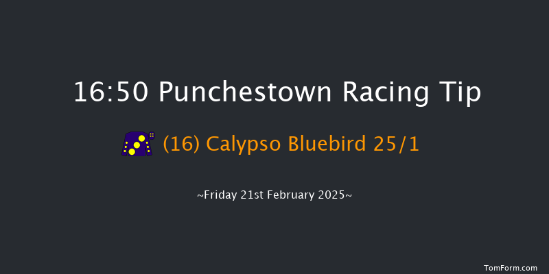Punchestown  16:50 Handicap Hurdle 20f Thu 20th Feb 2025