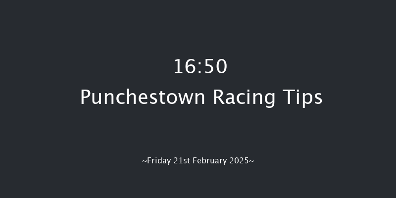 Punchestown  16:50 Handicap Hurdle 20f Thu 20th Feb 2025