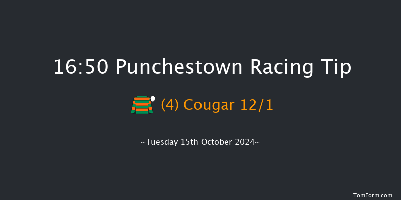 Punchestown  16:50 Handicap Hurdle 23f Tue 17th Sep 2024