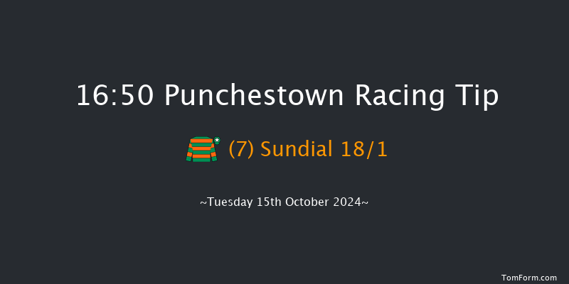 Punchestown  16:50 Handicap Hurdle 23f Tue 17th Sep 2024