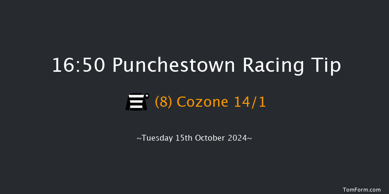 Punchestown  16:50 Handicap Hurdle 23f Tue 17th Sep 2024