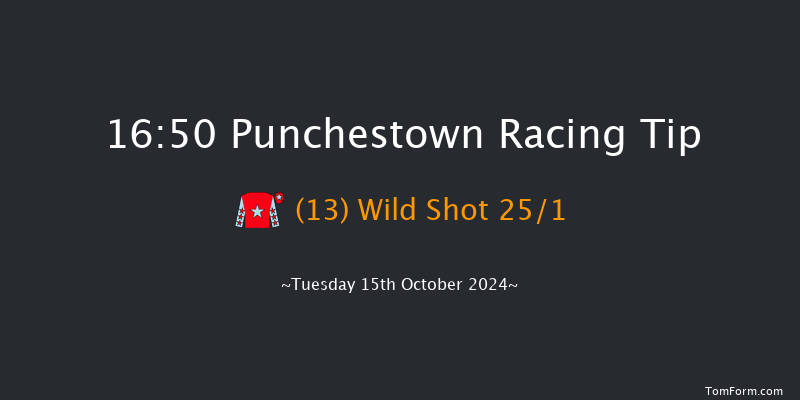 Punchestown  16:50 Handicap Hurdle 23f Tue 17th Sep 2024