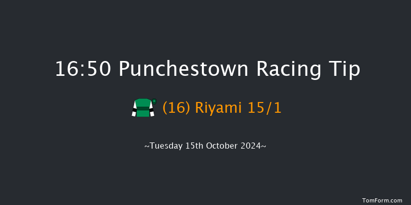 Punchestown  16:50 Handicap Hurdle 23f Tue 17th Sep 2024