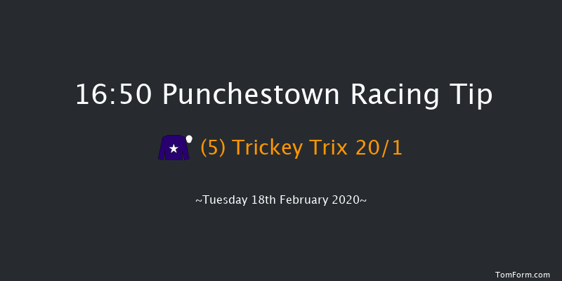 David Trundley Artist At Punchestown Handicap Hurdle (80-102) Punchestown 16:50 Handicap Hurdle 24f Wed 15th Jan 2020