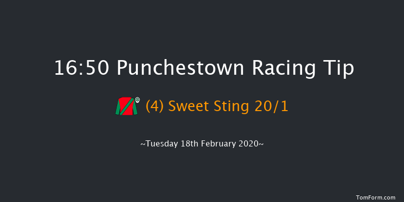 David Trundley Artist At Punchestown Handicap Hurdle (80-102) Punchestown 16:50 Handicap Hurdle 24f Wed 15th Jan 2020