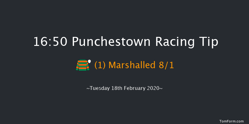 David Trundley Artist At Punchestown Handicap Hurdle (80-102) Punchestown 16:50 Handicap Hurdle 24f Wed 15th Jan 2020