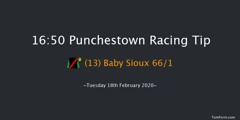 David Trundley Artist At Punchestown Handicap Hurdle (80-102) Punchestown 16:50 Handicap Hurdle 24f Wed 15th Jan 2020